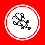 Cajun Connection