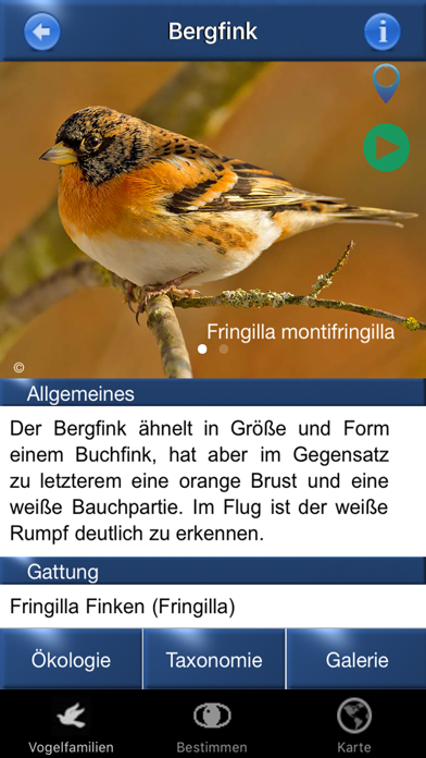 How to cancel & delete Vogel Id Schweiz, Vögel bestimmen im Garten + Wald from iphone & ipad 4