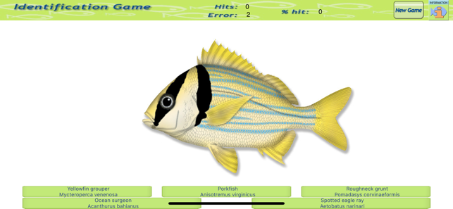 Game Fish Identification(圖4)-速報App