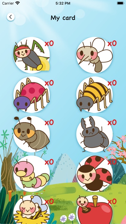 Insect Card Collection