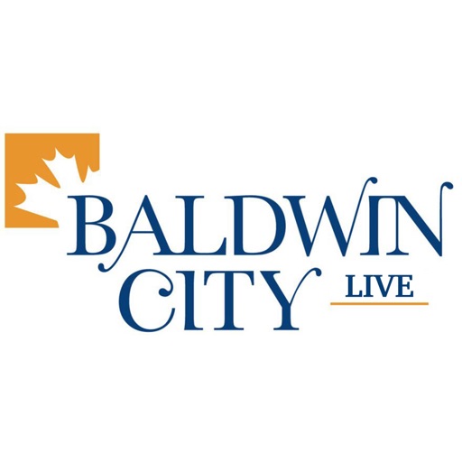 Baldwin City Live Icon