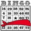 Icon Blindfold Bingo