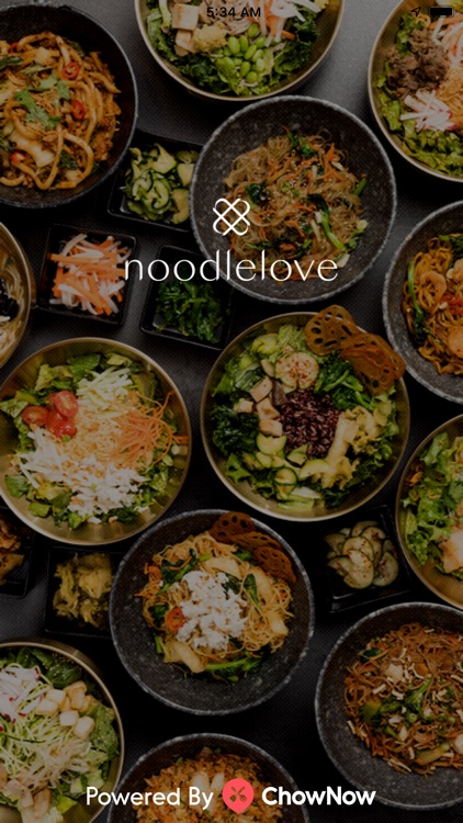 Noodlelove