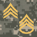 PROmote - Army Study Guide PROmote - Army Study Guide