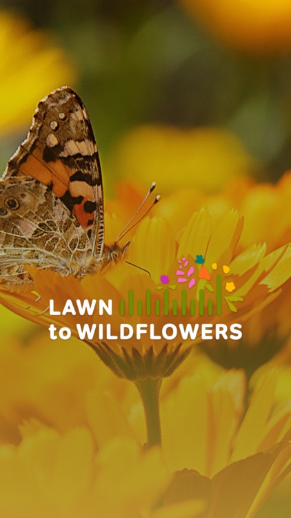 Lawn to Wildflowers