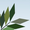 TreeSim - iPhoneアプリ