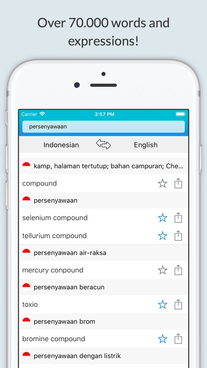 English Indonesian Dictionary+