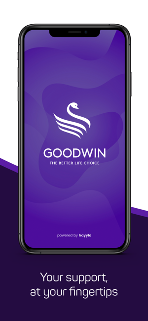 Goodwin(圖1)-速報App