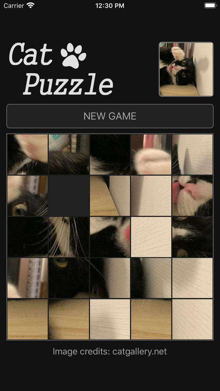 Cat Sliding Puzzle