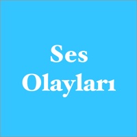Ses (Bilgisi) Olayları sur PC