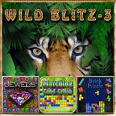 Activities of Wild Blitz 3 - Puzzle Games