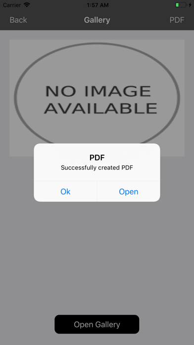 Make PDF screenshot 4