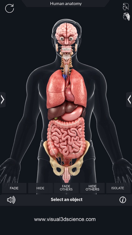 My Organs Anatomy screenshot-3