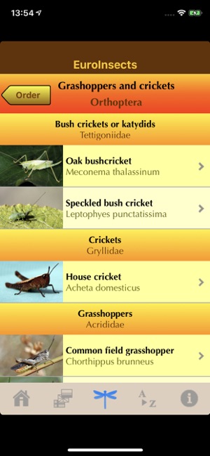 EuroInsects(圖4)-速報App