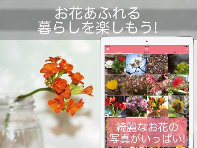 花 植物好きが集まる写真共有 図鑑アプリ Flowery をapp Storeで