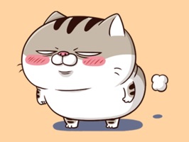Ami Fat Cat