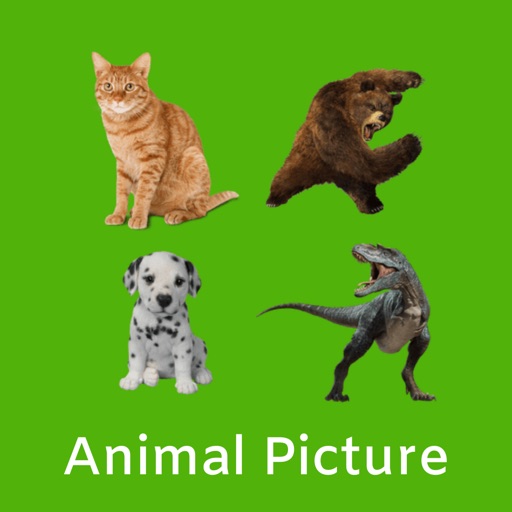 Animal Picture Identification