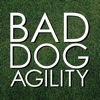 Bad Dog Agility