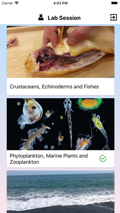 Marine Biology (HKUST) screenshot 2