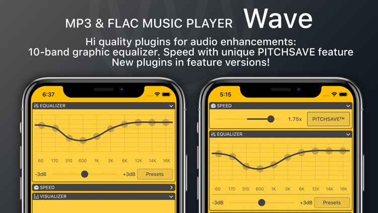 Wave - MP3 & FLAC Music Player screenshot-3