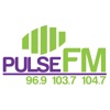 The New Pulse FM