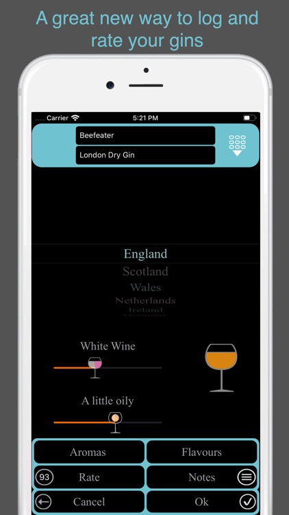 Gin Tasting screenshot-5