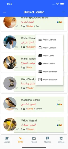 Game screenshot Birds of Jordan mod apk