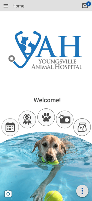 Youngsville AH(圖1)-速報App