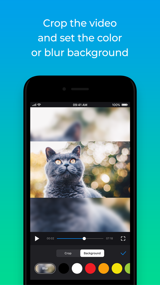 Resize Video — Clideo App for iPhone - Free Download ...