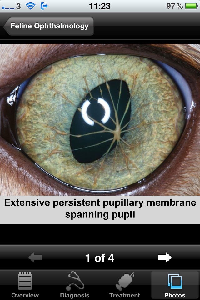 Feline Ophthalmology screenshot 4