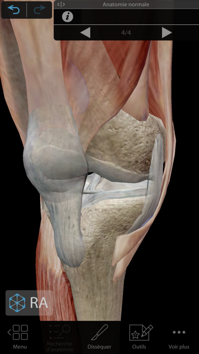 Muscles & Kinésiologie Muscles & Kinésiologie
