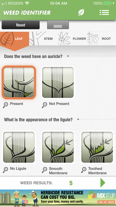 How to cancel & delete Weed ID from iphone & ipad 3