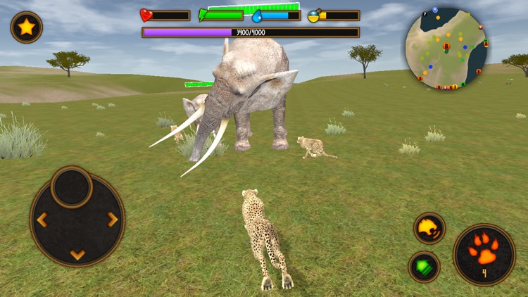 Clan Of Cheetahs screenshot-3