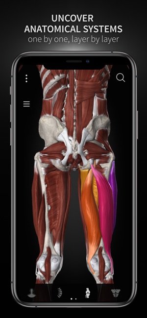 Anatomyka(圖9)-速報App