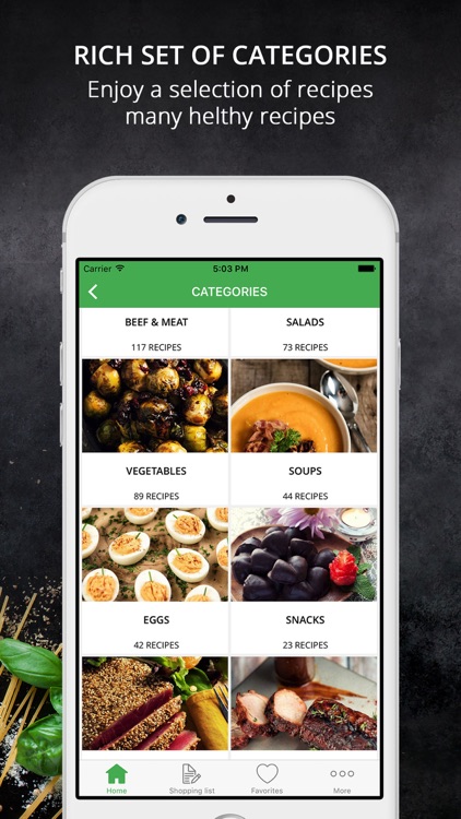 Paleo Diet Recipes & Meal Plan