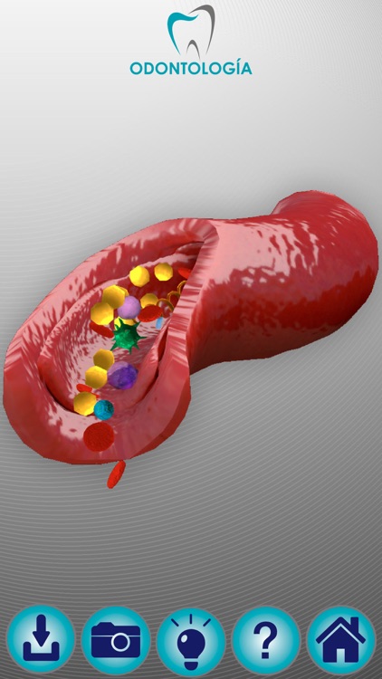 Odontología SR