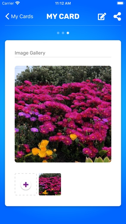 Flip-In screenshot-4