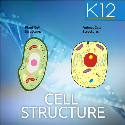 Biology Cell Structure Читы