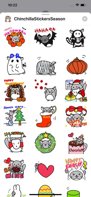 Chinchilla Minny Seasons(圖1)-速報App