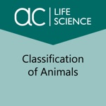 Classification of Animals