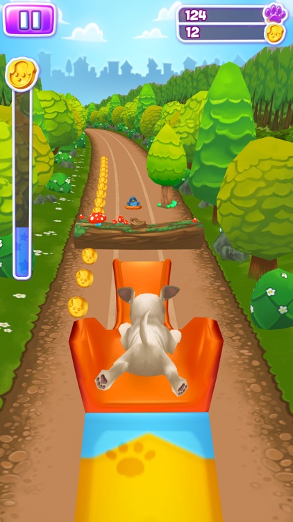 Pet Run - Puppy Dog game
