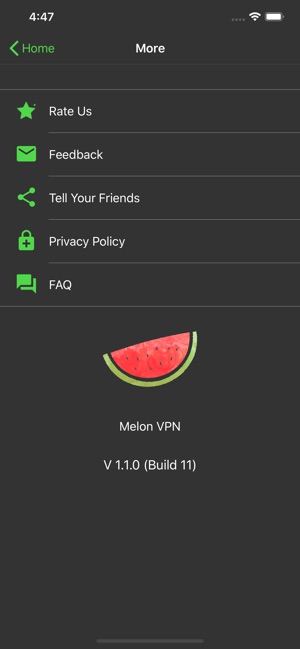 Melon Vpn Easy Fast Vpn On The App Store - best vpn for roblox citrullus