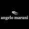 App which allows to manage agents’ work of Angelo Marani Brand in order to see the look-book, catalogue, order entry and clients’ management  throughout one app on iPad