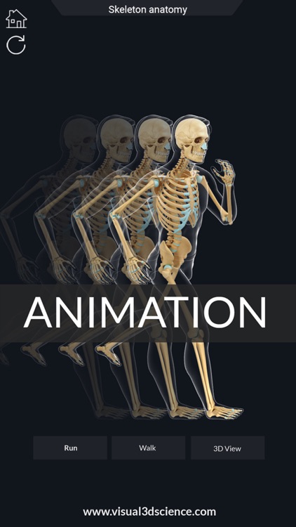 My Skeleton Anatomy