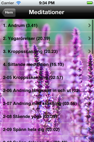 Mindfulnessgruppen - náhled