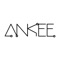 ANKEE is made for setting up and controlling lighting and other house appliances manufactured by ANKEE USA Co