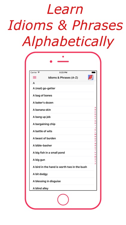 Idioms & Phrases (English) screenshot-3