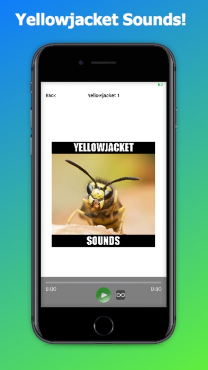 Yellowjacket Sounds