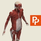 Top 35 Medical Apps Like Whole body: 3D real-time - Best Alternatives