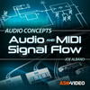 Signal Flow Course by Av 106 apk